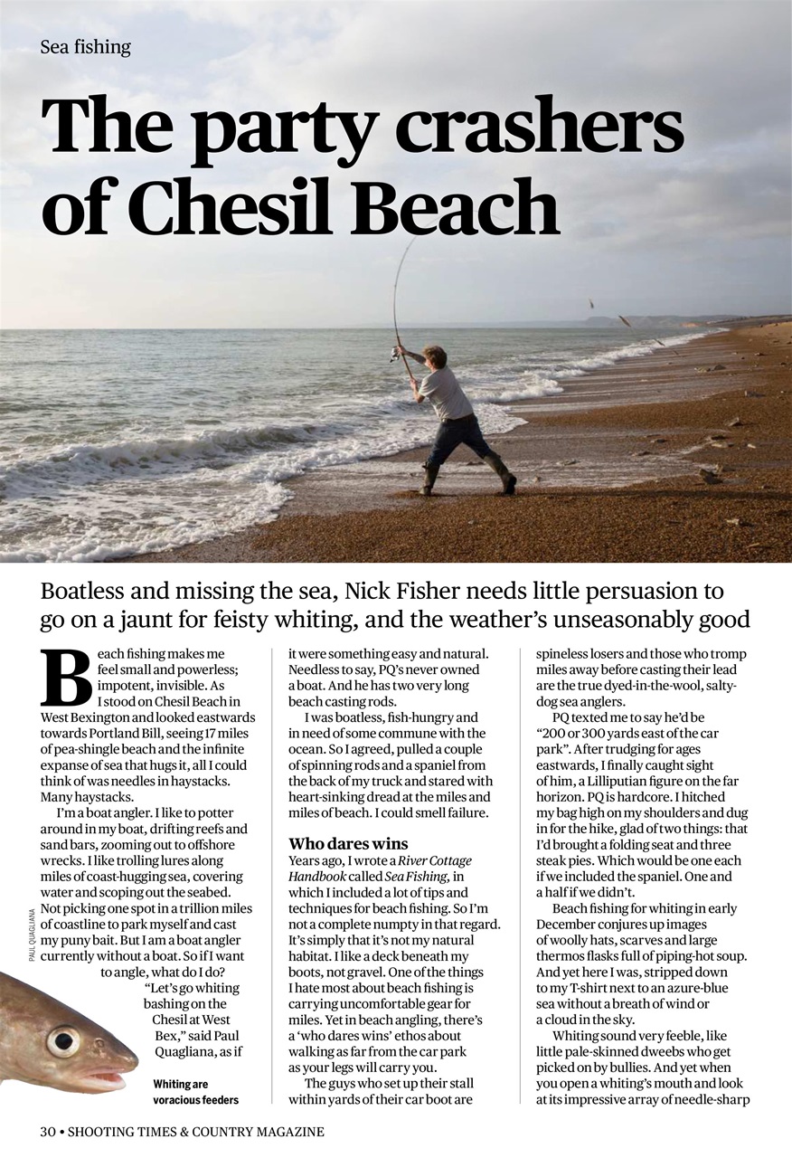 Shooting Times & Country Preview Pages