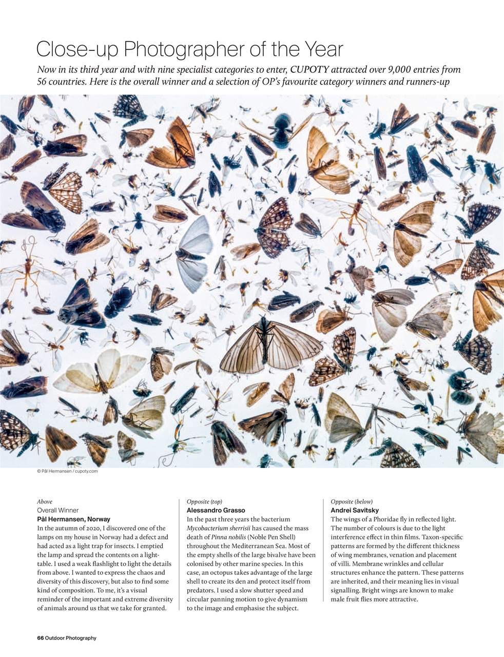 Outdoor Photography Preview Pages