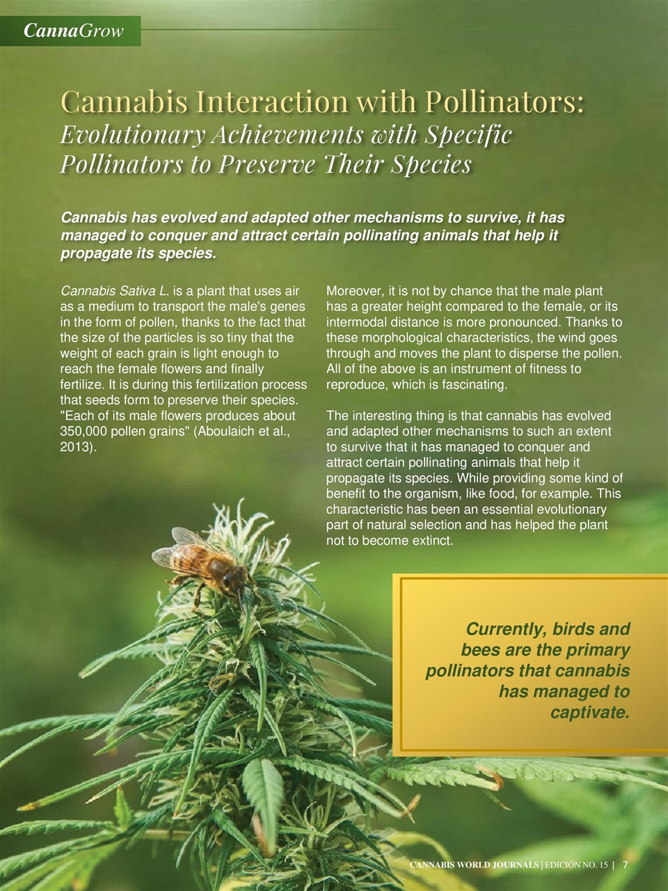 Cannabis World Journals Preview Pages