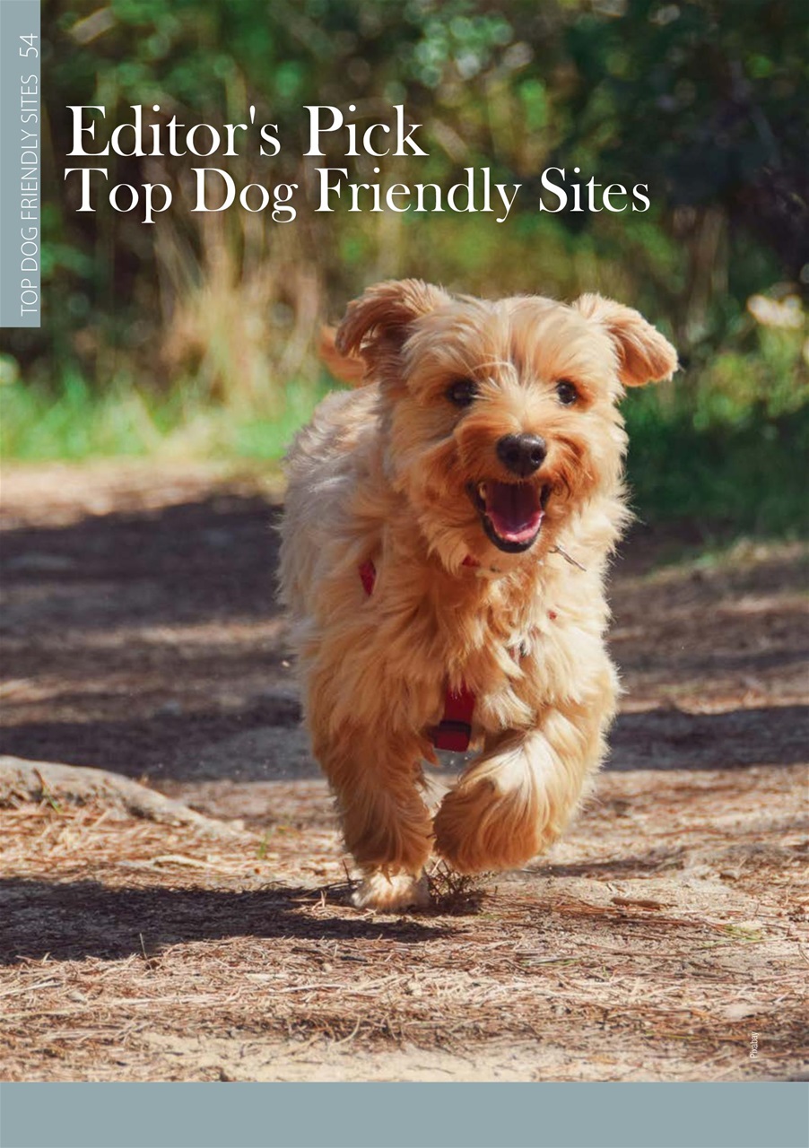 MMM magazine Preview Pages