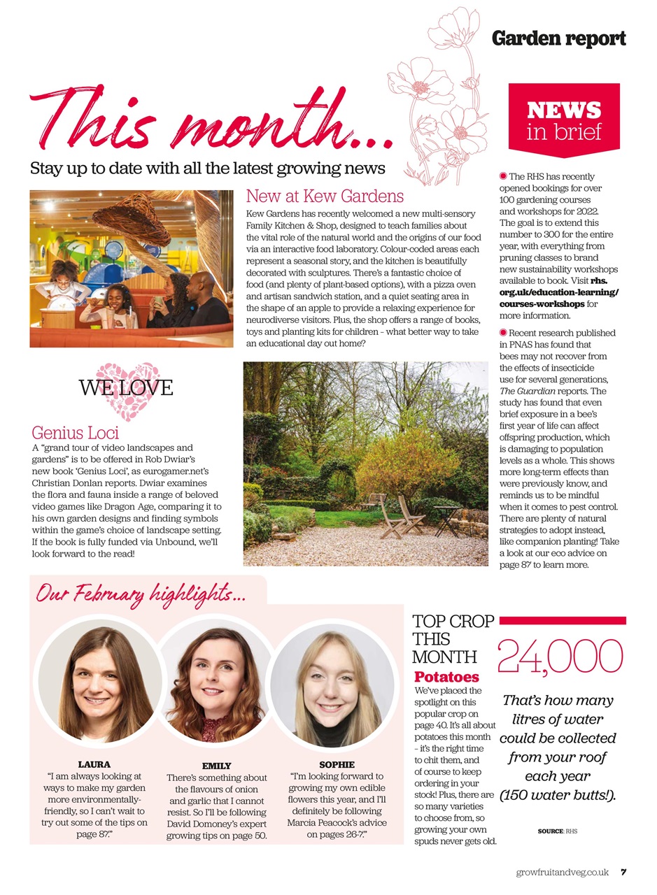 Grow Your Own Preview Pages