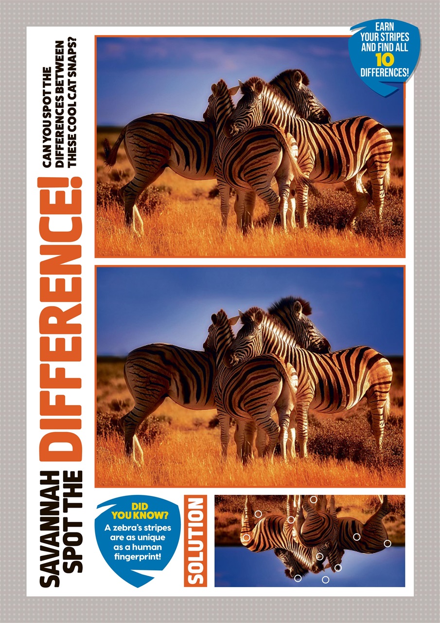 Animal Planet Kids Preview Pages