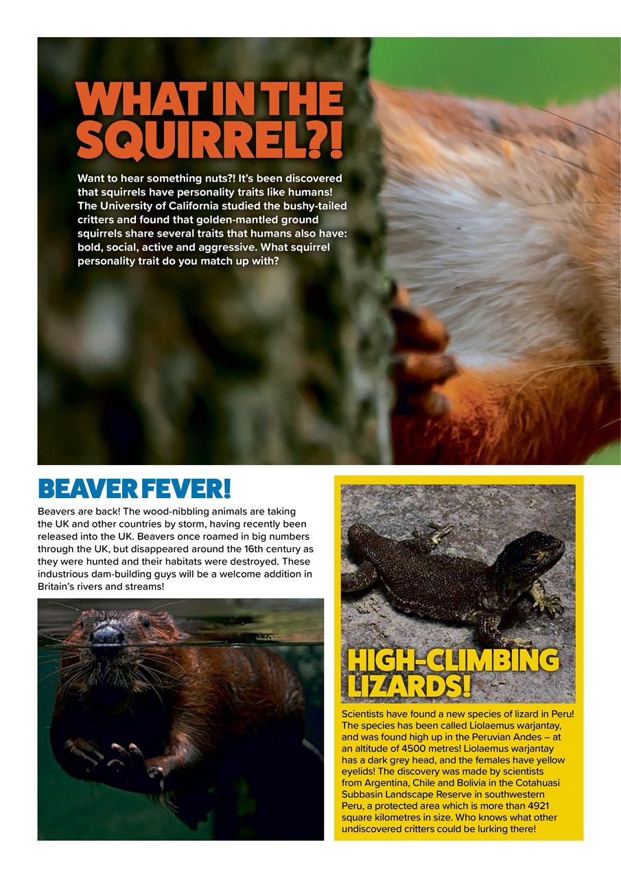 Animal Planet Kids Preview Pages