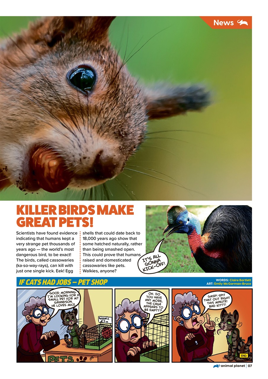 Animal Planet Kids Preview Pages