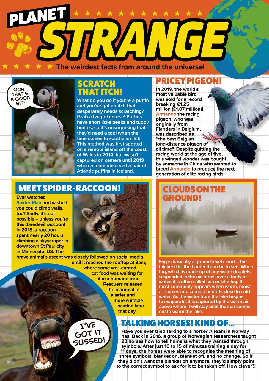 Animal Planet Kids Preview Pages
