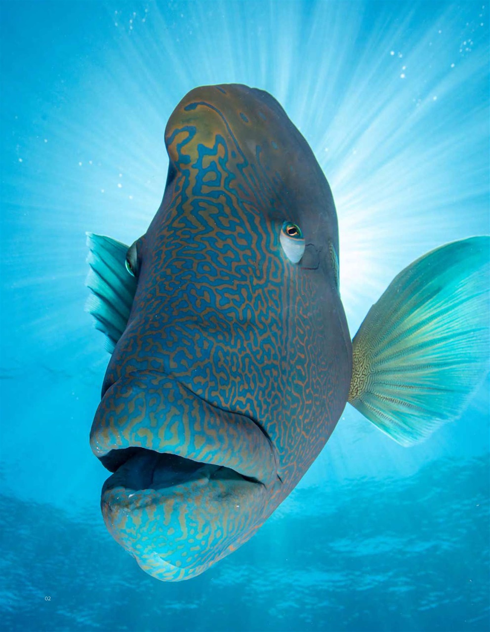 Signature Luxury Travel & Style Preview Pages