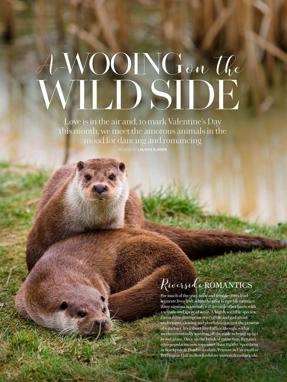 Country Living Preview Pages