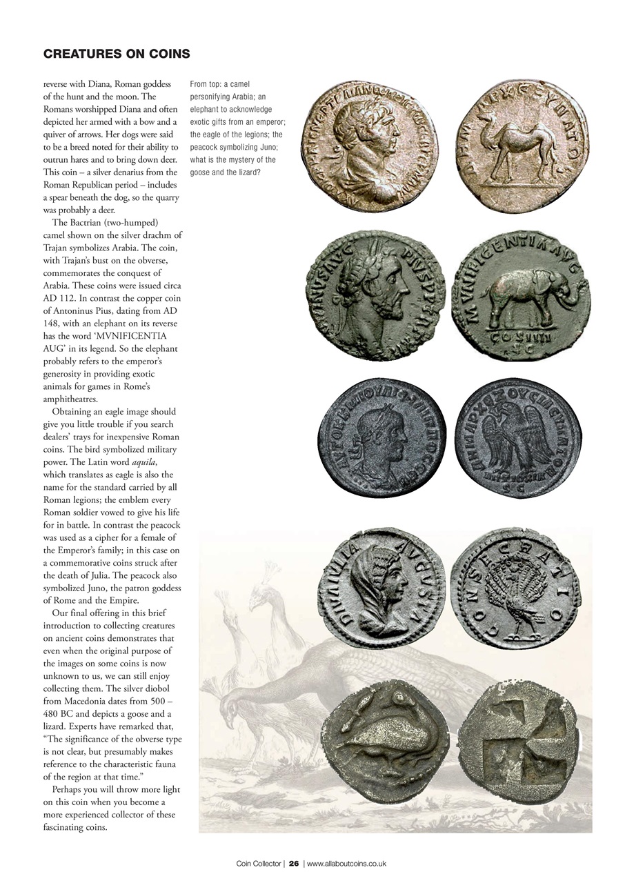 Coin Collector Preview Pages