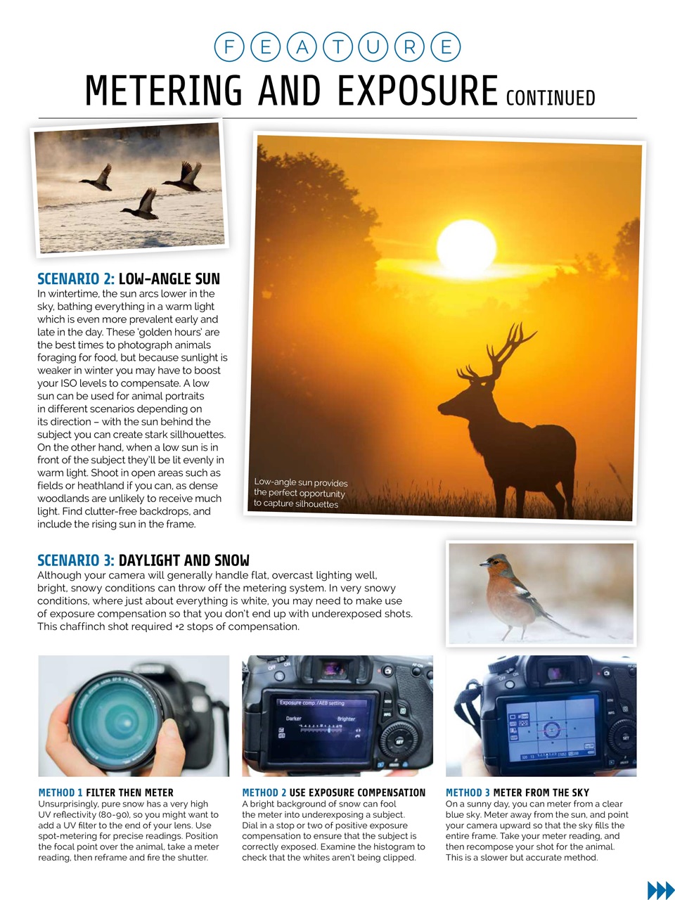 Photography Week Preview Pages