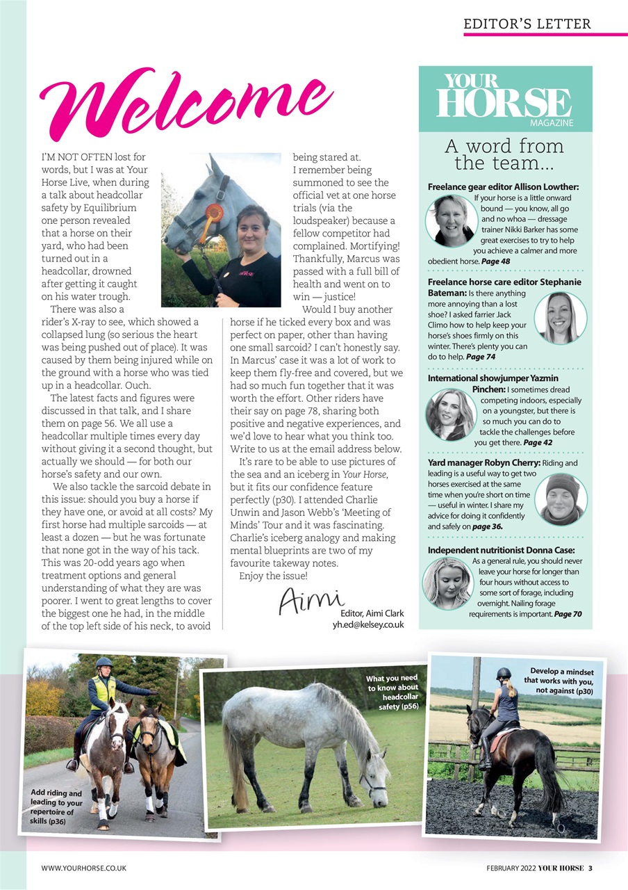 Your Horse Preview Pages