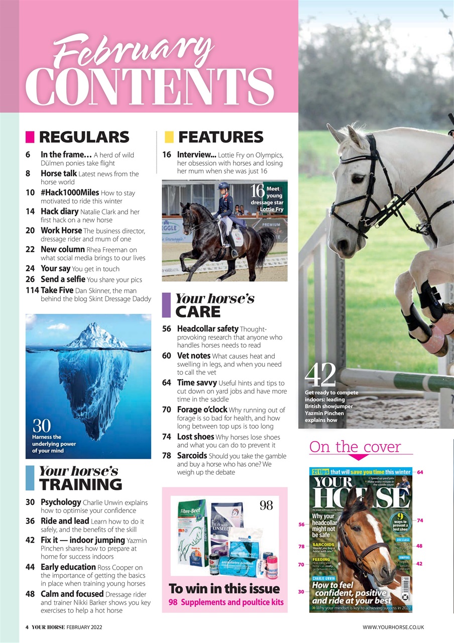 Your Horse Preview Pages