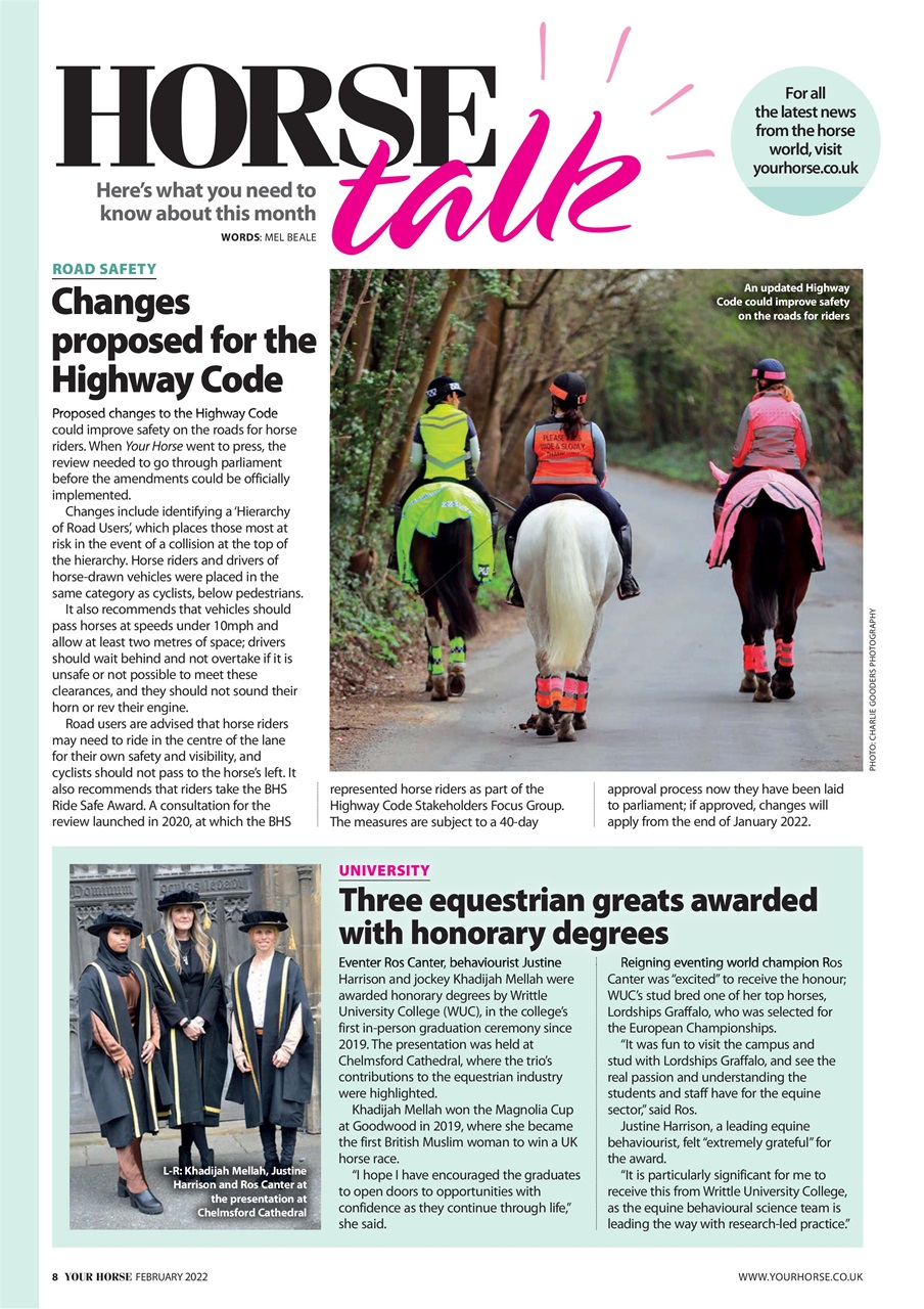 Your Horse Preview Pages