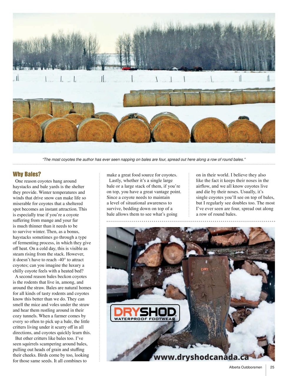 Alberta Outdoors Preview Pages