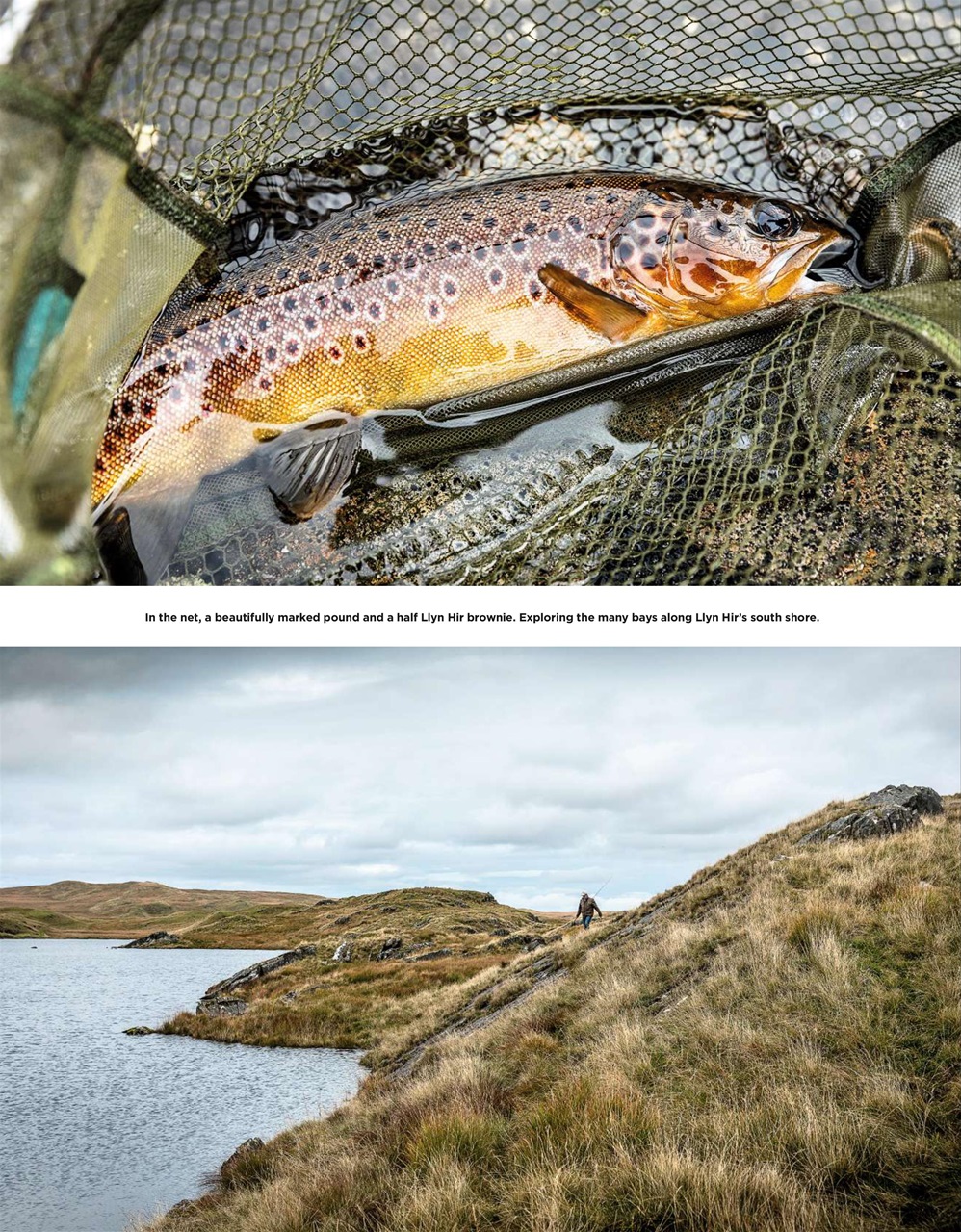 Trout & Salmon Preview Pages
