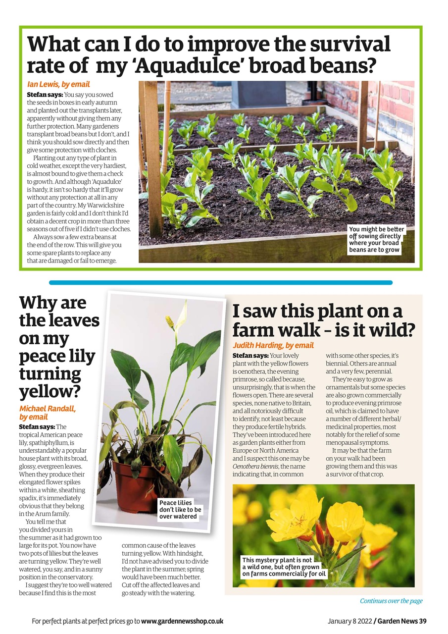 Garden News Preview Pages