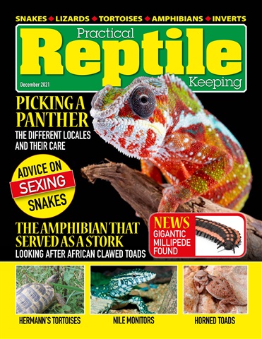 Practical Reptile Keeping issue December 2021