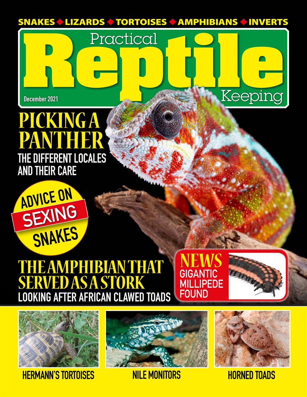 Practical Reptile Keeping Preview Pages