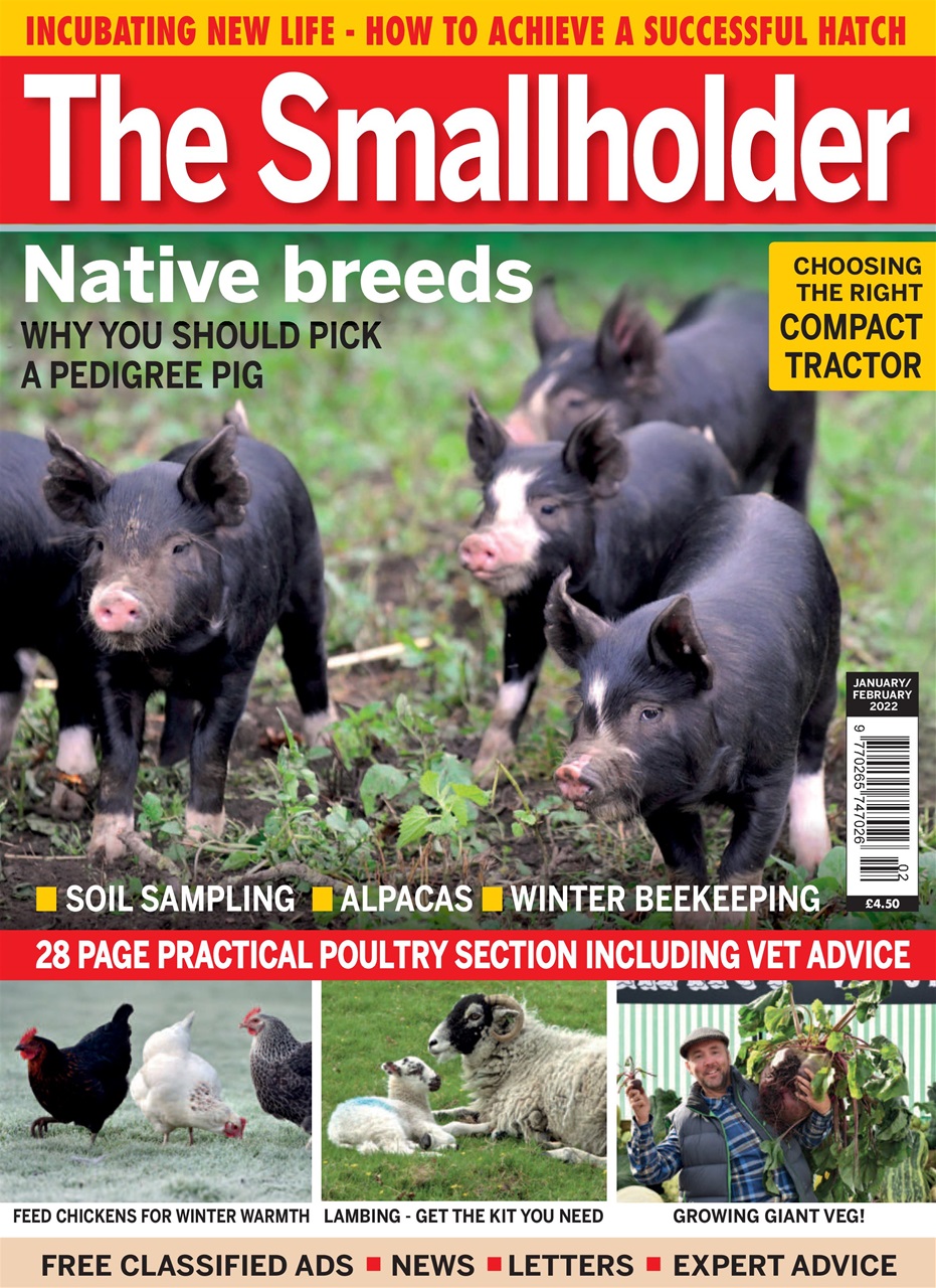 The Smallholder Preview Pages
