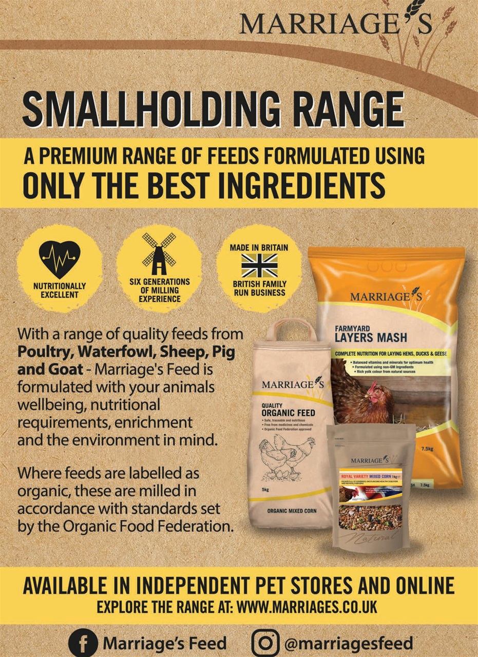 The Smallholder Preview Pages