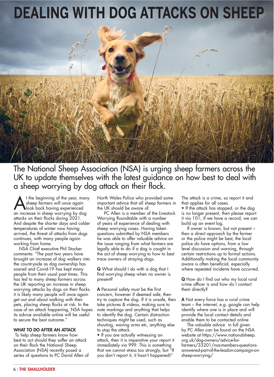 The Smallholder Preview Pages