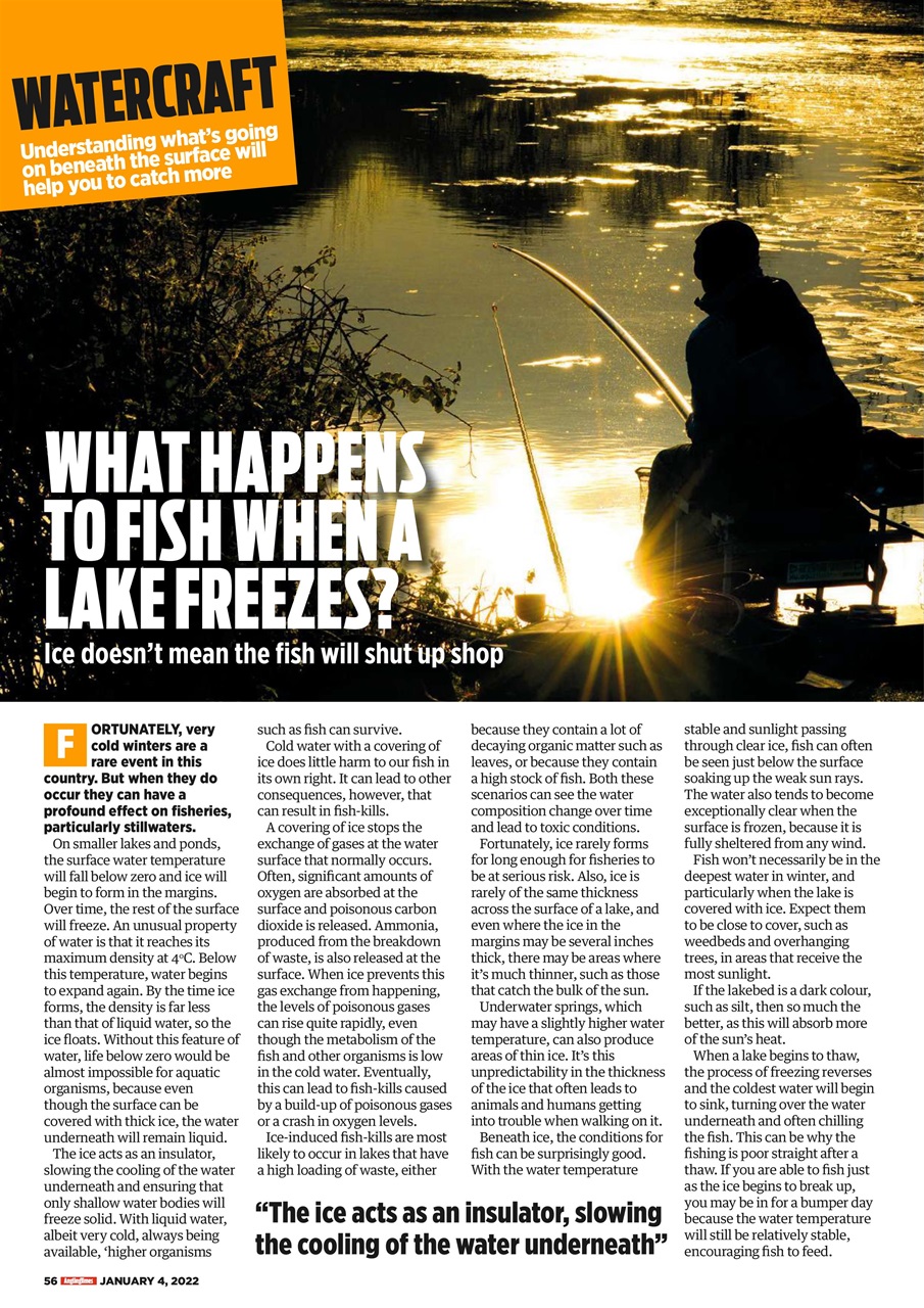 Angling Times Preview Pages