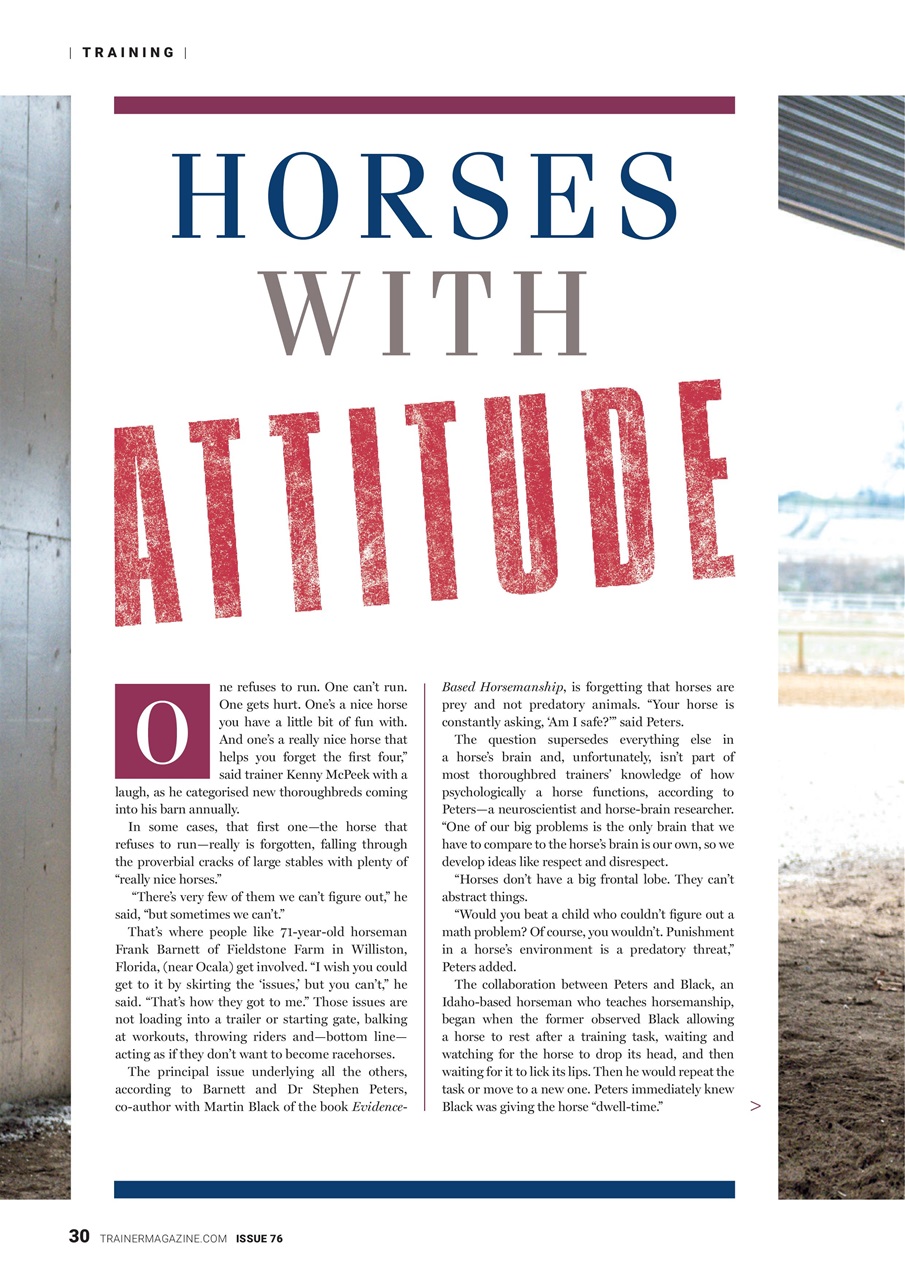 European Trainer Magazine - horse racing Preview Pages