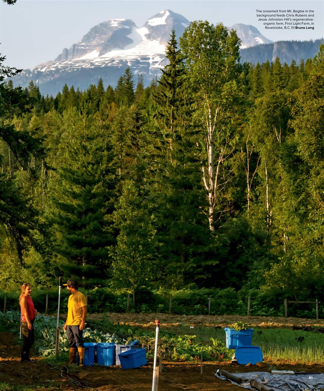 Backcountry Preview Pages