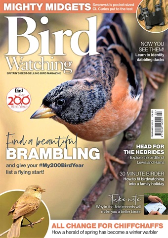Bird Watching issue Feb-22