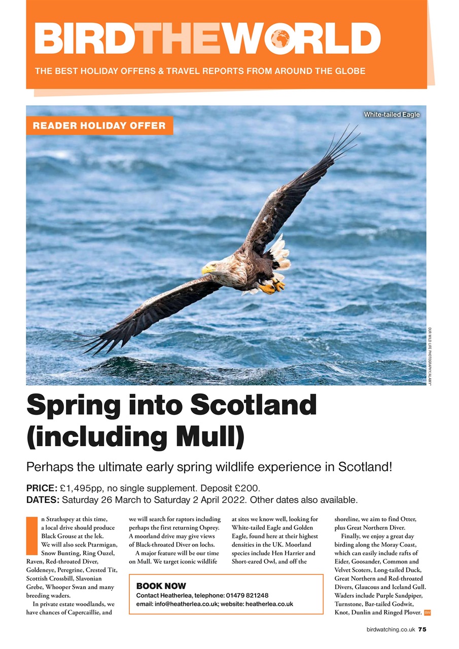 Bird Watching Preview Pages