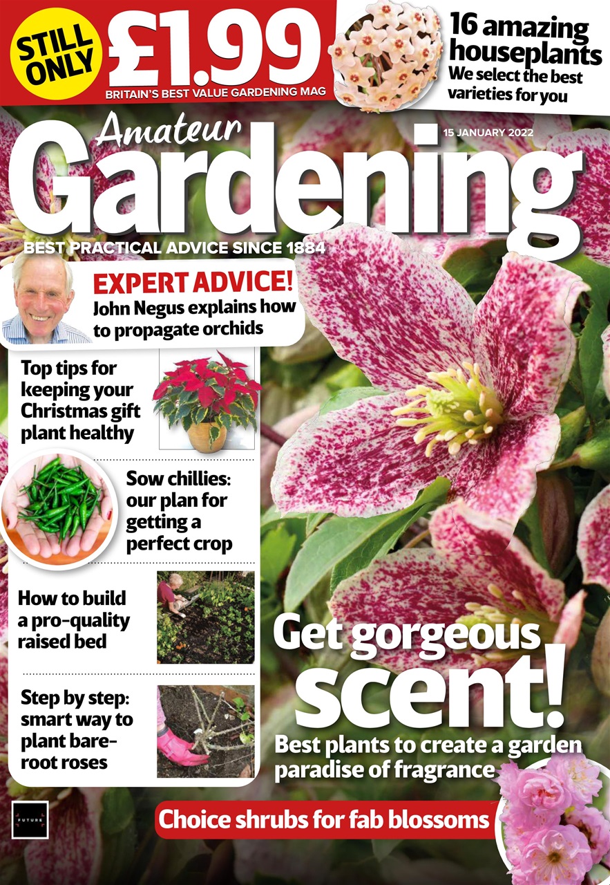 Amateur Gardening Preview Pages