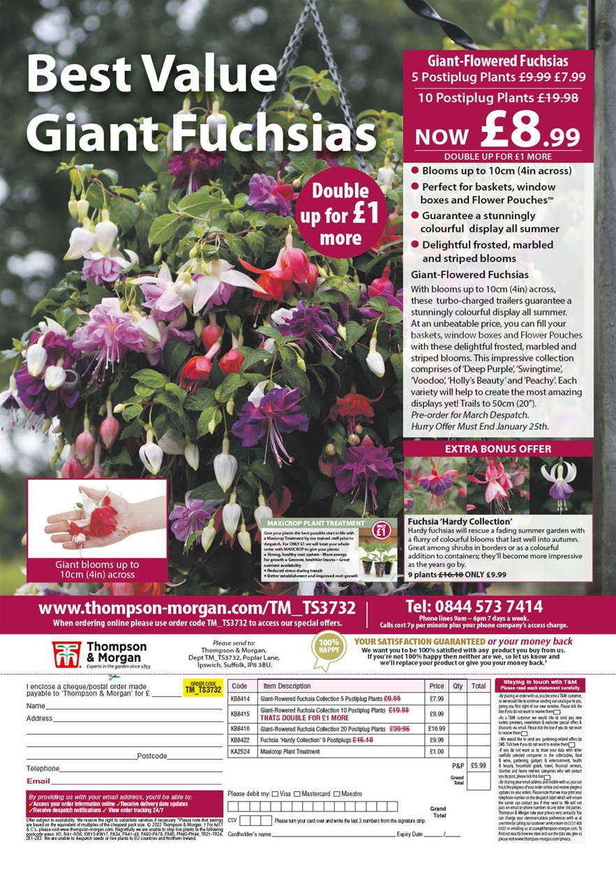 Amateur Gardening Preview Pages