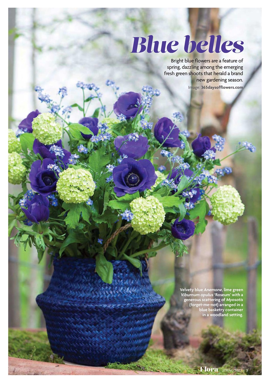 Flora International Preview Pages