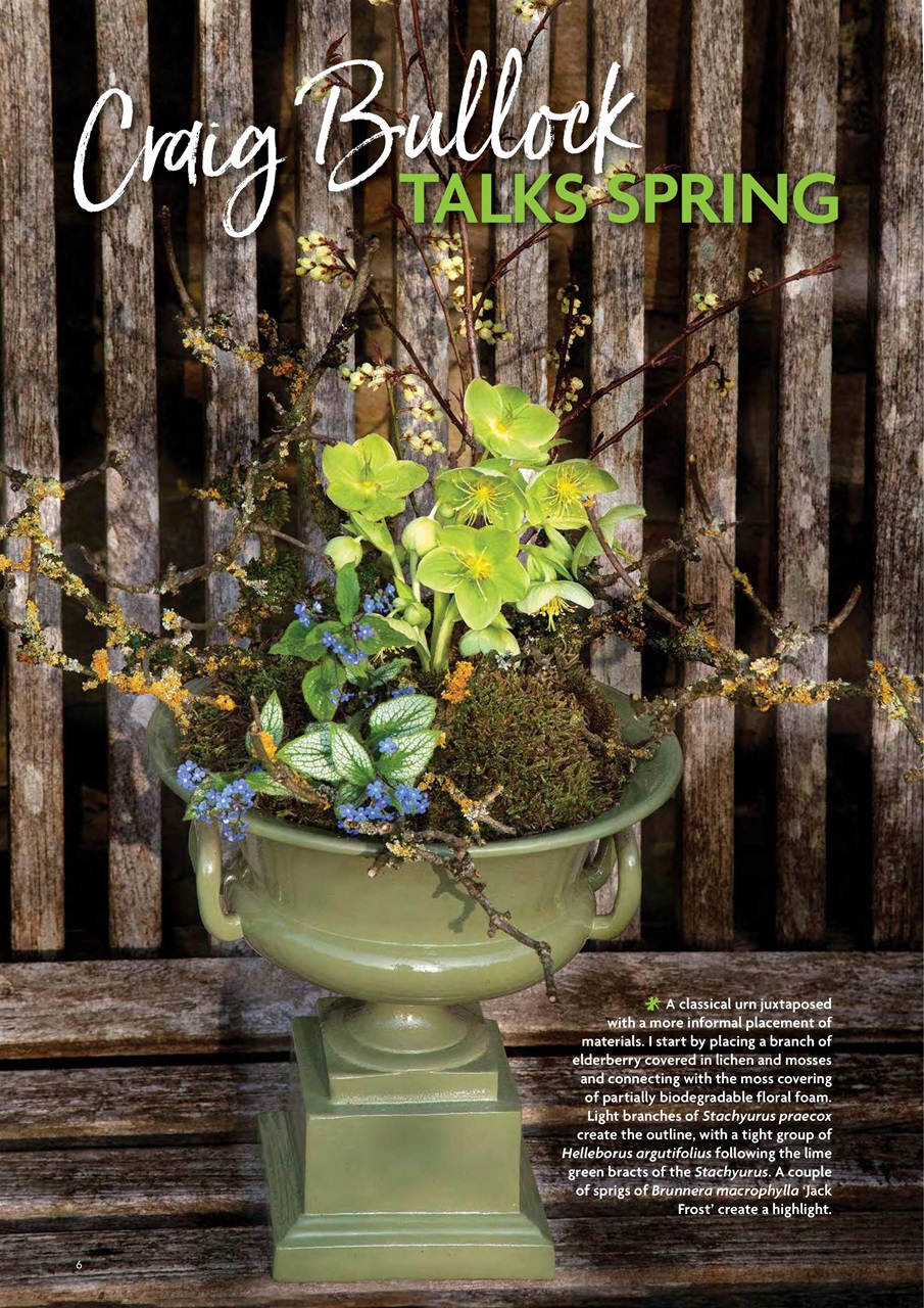 Flora International Preview Pages