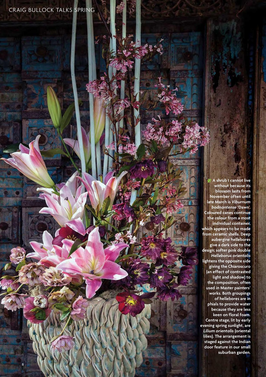 Flora International Preview Pages