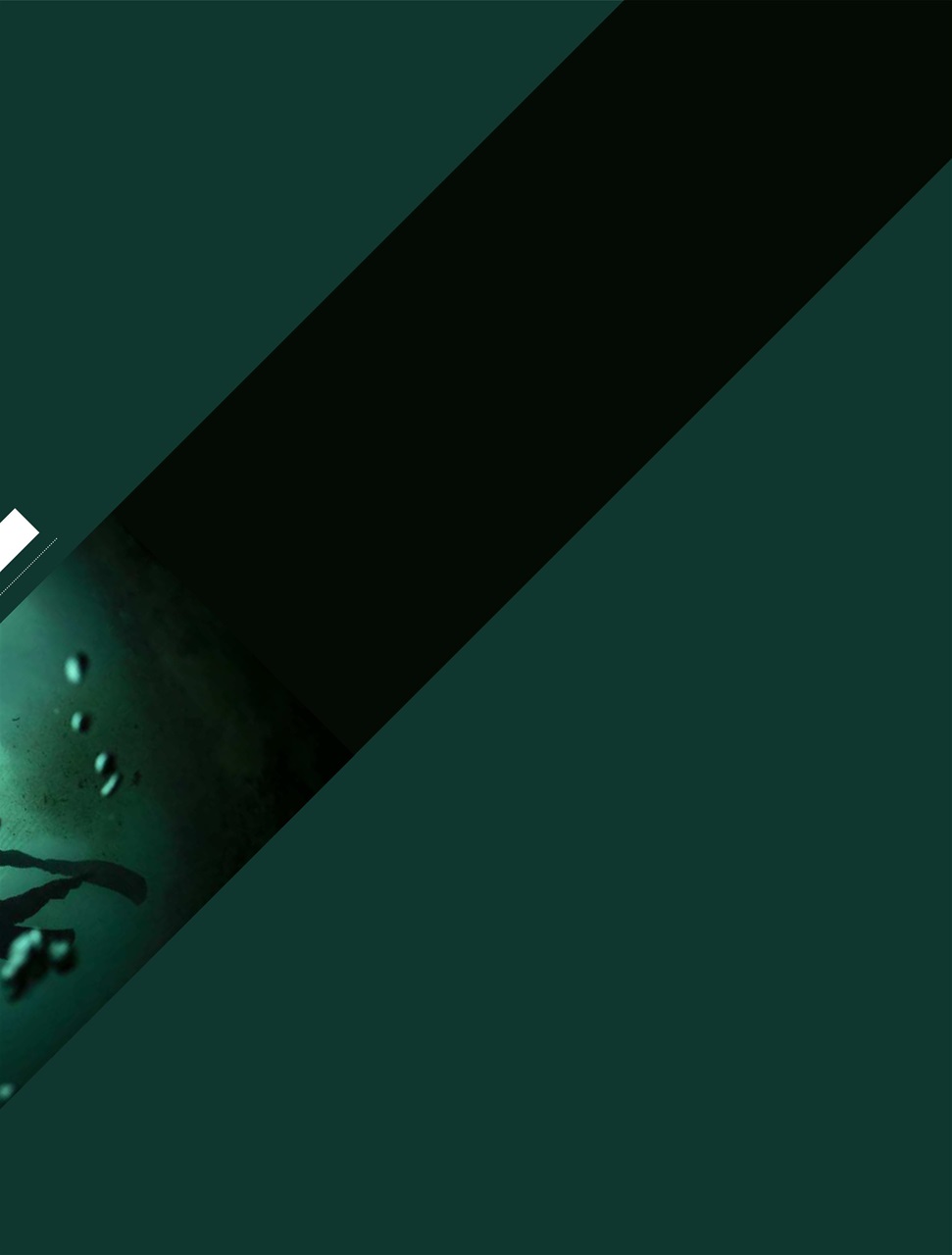 Row360 Preview Pages