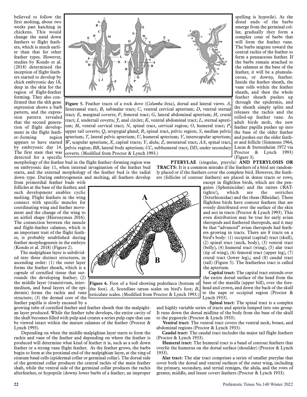 Prehistoric Times Preview Pages