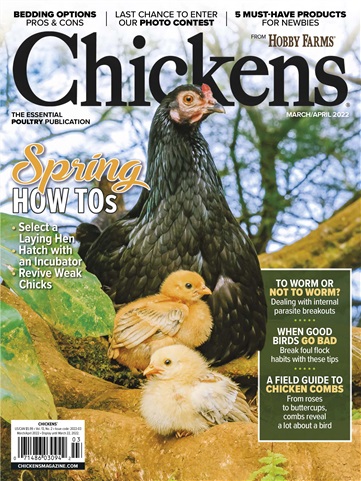 Chickens Magazine issue March/April 22