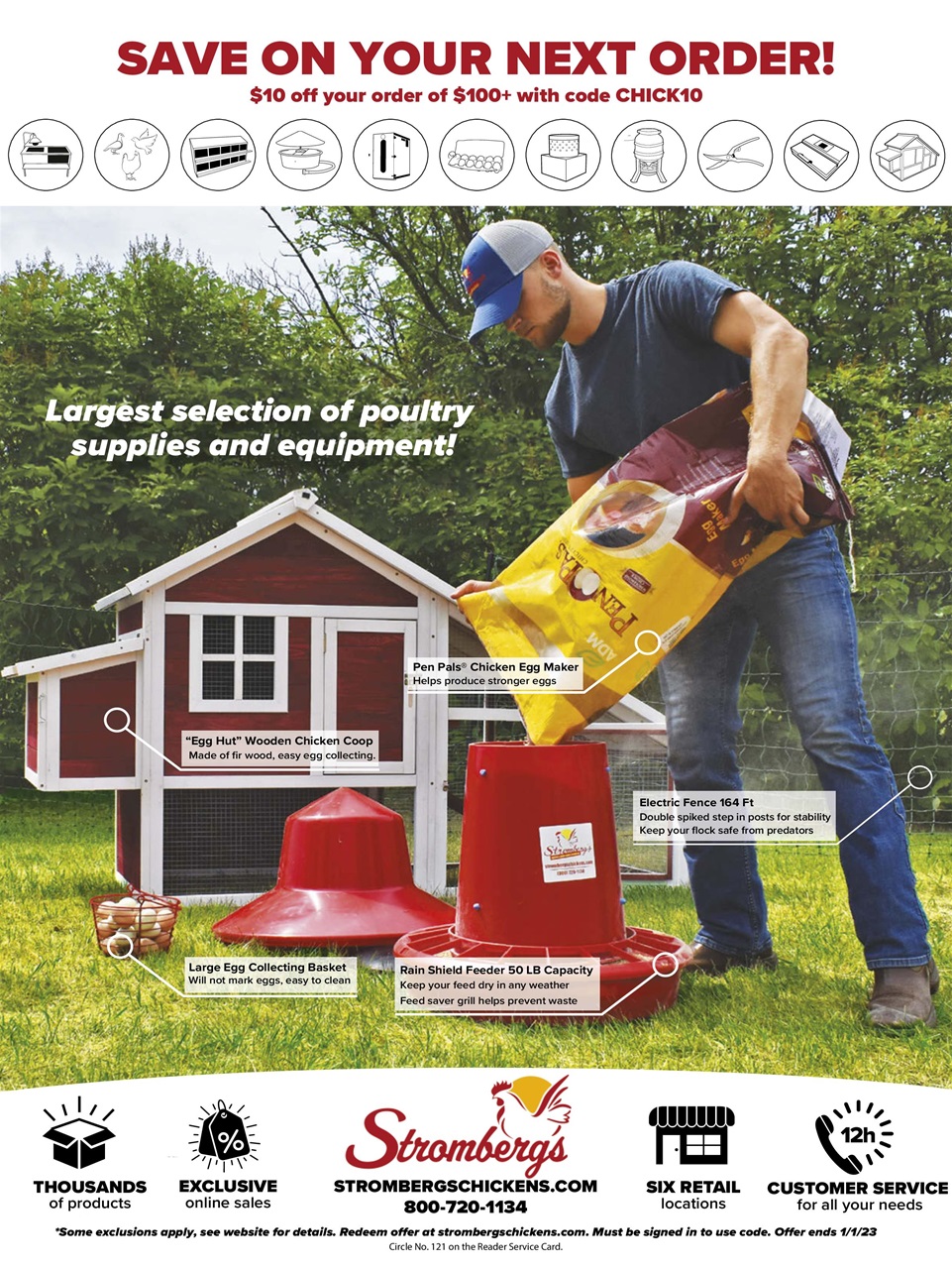 Chickens Magazine Preview Pages