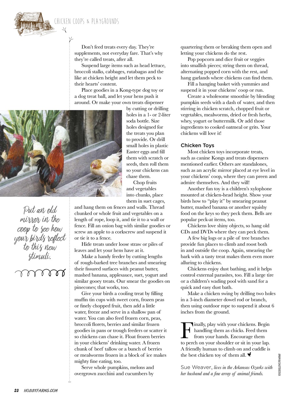 Chickens Magazine Preview Pages