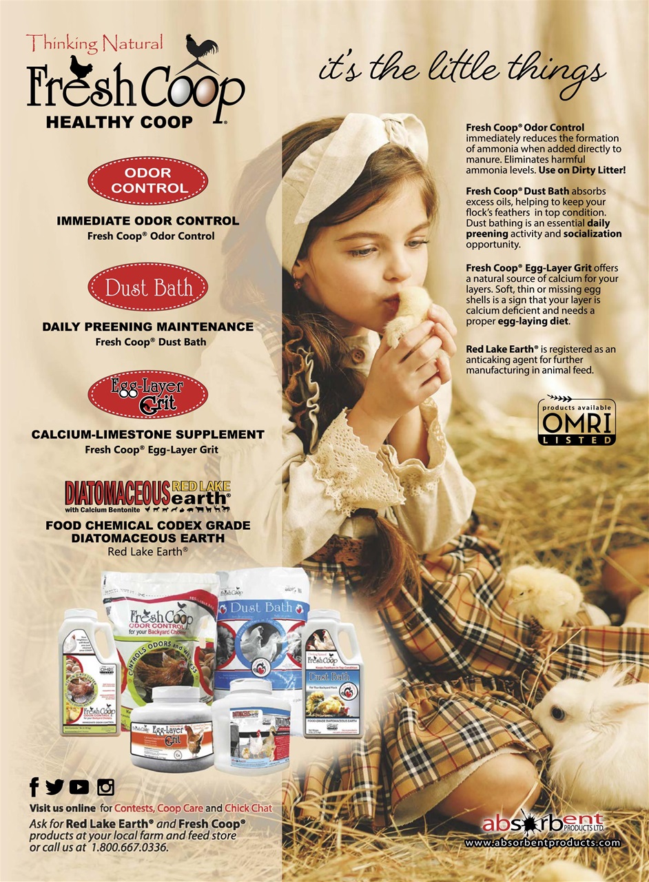 Chickens Magazine Preview Pages