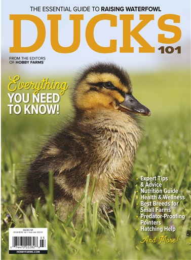 Chickens Magazine issue 