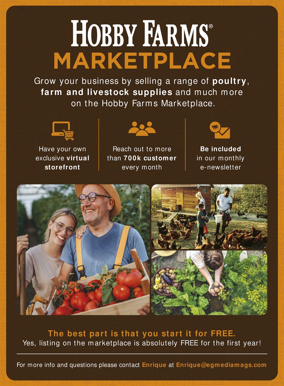 Chickens Magazine Preview Pages