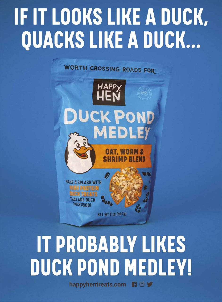 Chickens Magazine Preview Pages