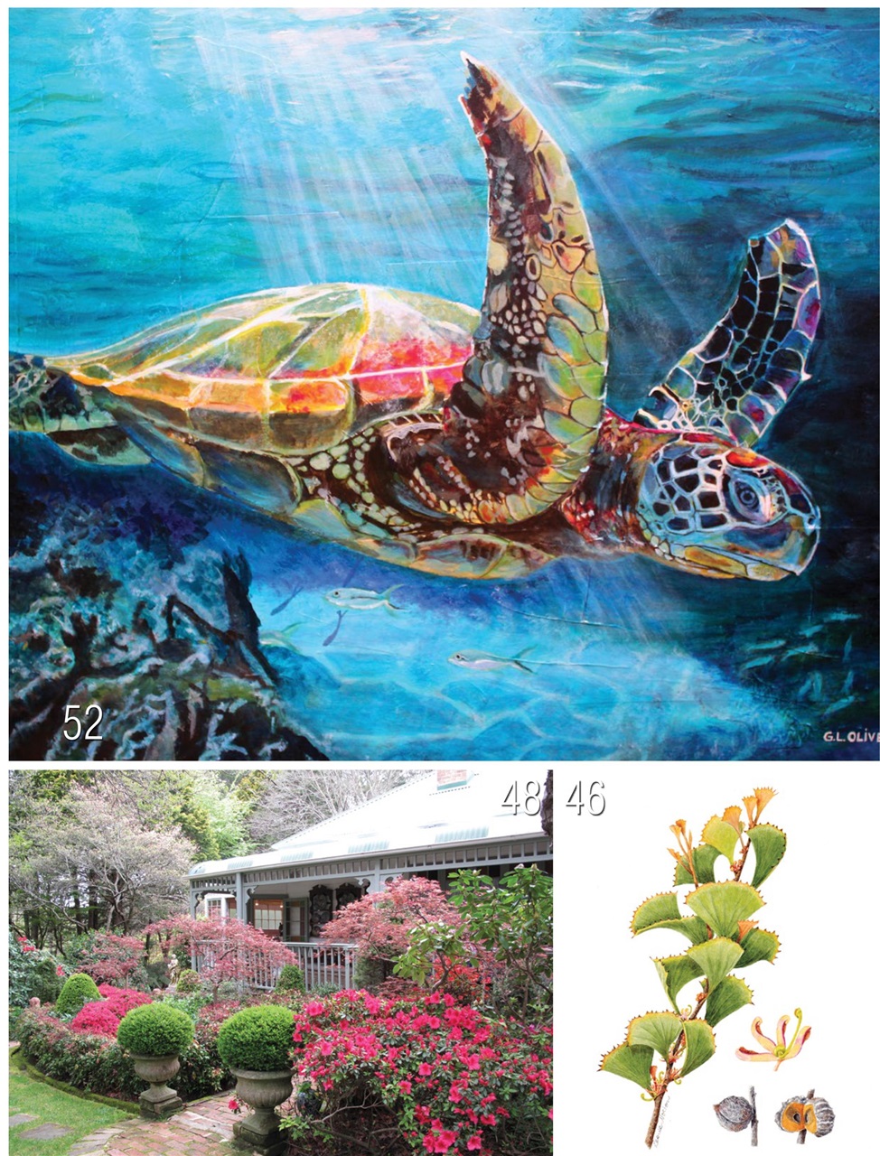 Artists Back to Basics Preview Pages