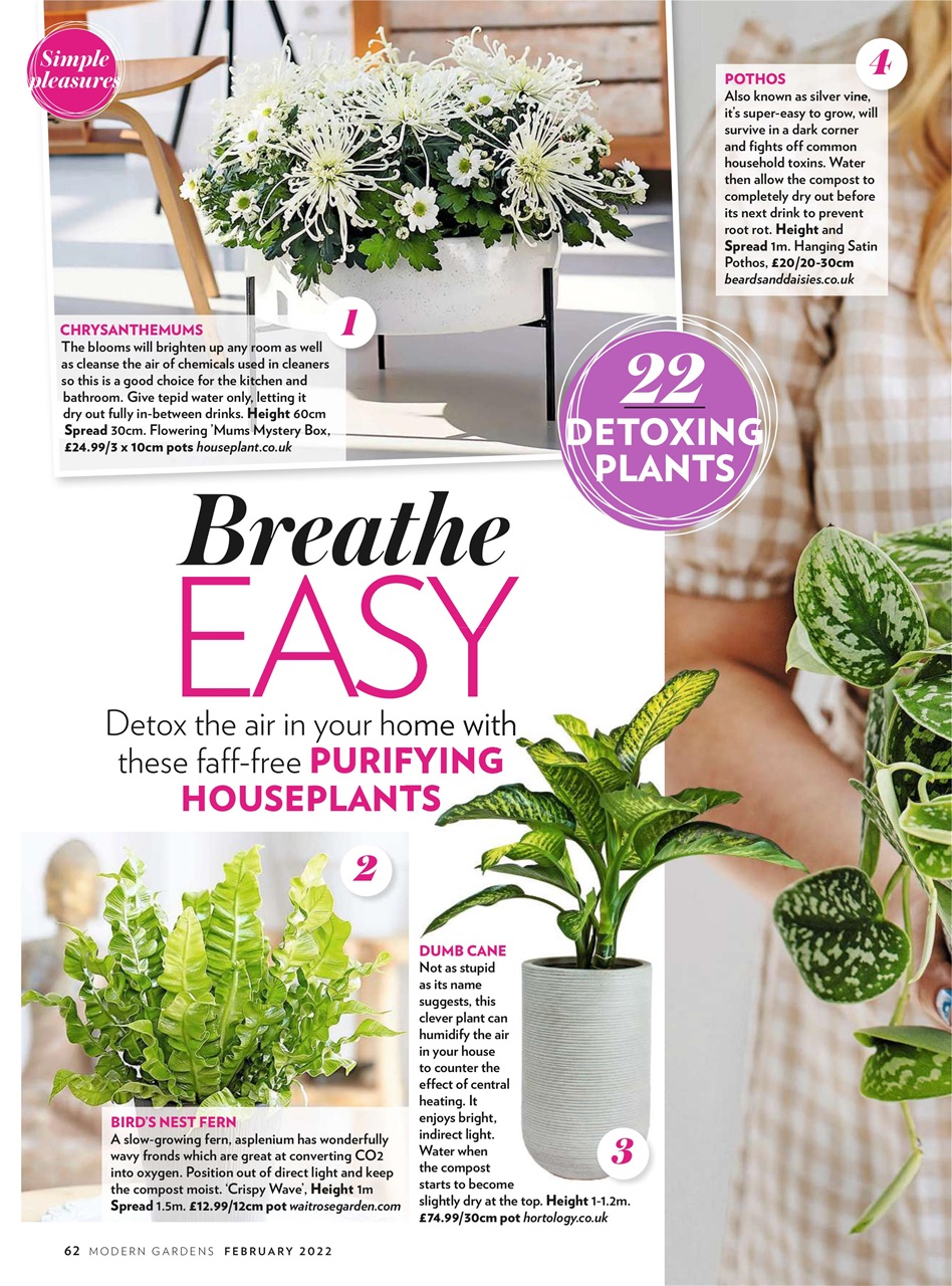 Modern Gardens Preview Pages
