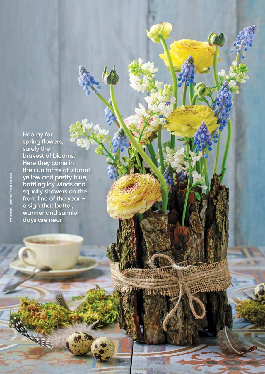 The Flower Arranger Preview Pages