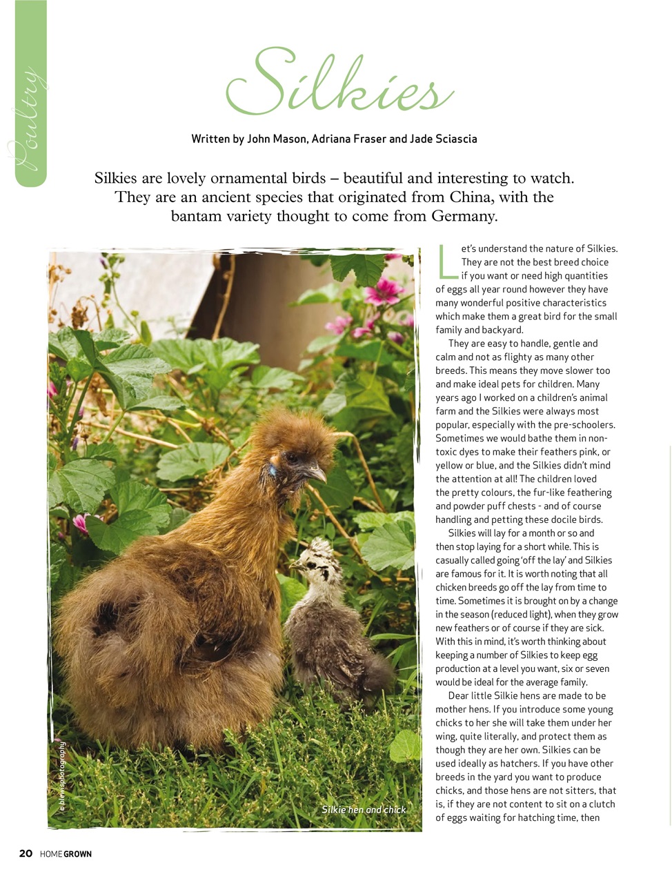 HomeGrown Preview Pages