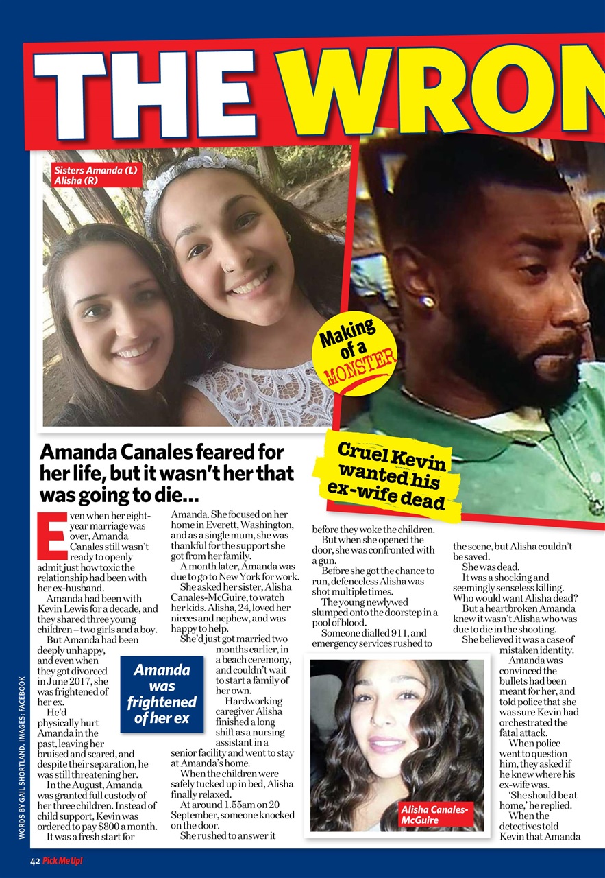 Pick Me Up Preview Pages