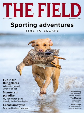 The Field issue Feb-22