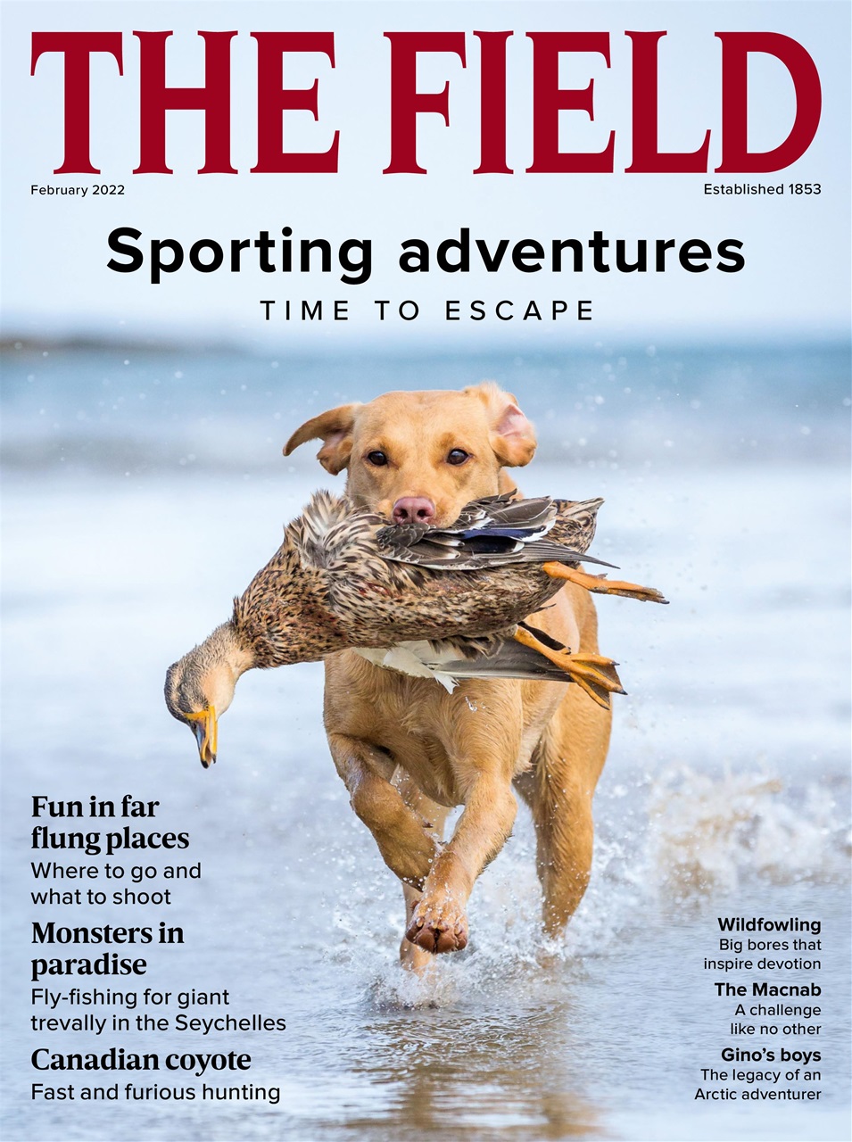 The Field Preview Pages